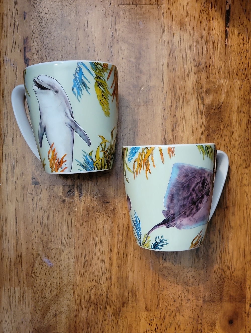 Queens By Churchill Sea Life Porcelain Mug Set - Dolphin & Ray Design NWT